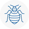 Bed Bug Extermination In New Sarum