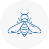 Bee Nest Removal New Sarum