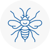 New Sarum Hornet Nest Removals