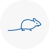 Mice Exterminators In New Sarum