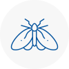 Moth Control Specialists In New Sarum