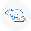 Rat Control New Sarum