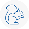 New Sarum Rodent Removals